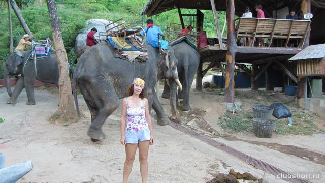 40964_l282p5y5ete.jpg